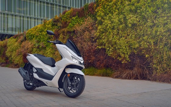 Verleihmotorrad Honda PCX125 vom Händler Autohaus Louis Dresen GmbH - Bild 28 Verleihmotorrad Honda PCX125 vom Händler Autohaus Louis Dresen GmbH - Bild 28