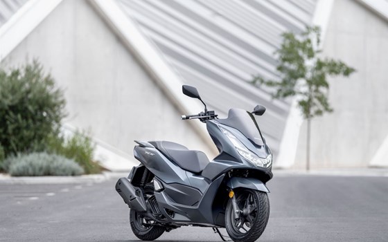 Verleihmotorrad Honda PCX125 vom Händler Autohaus Louis Dresen GmbH - Bild 3 Verleihmotorrad Honda PCX125 vom Händler Autohaus Louis Dresen GmbH - Bild 3