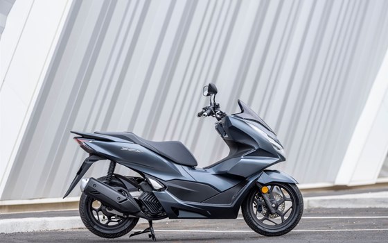Verleihmotorrad Honda PCX125 vom Händler Autohaus Louis Dresen GmbH - Bild 5 Verleihmotorrad Honda PCX125 vom Händler Autohaus Louis Dresen GmbH - Bild 5