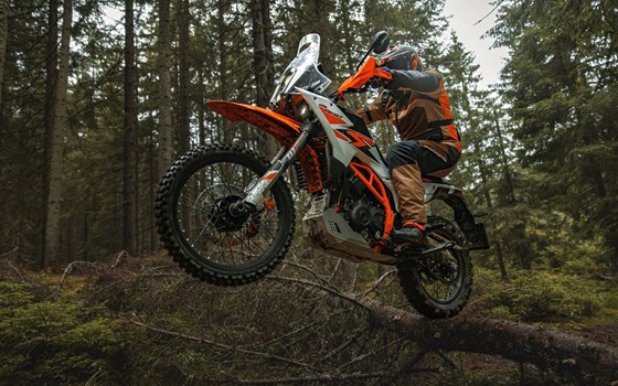 Verleihmotorrad KTM 390 Adventure R vom Händler MOTOTHEK e.U. - Bild 3