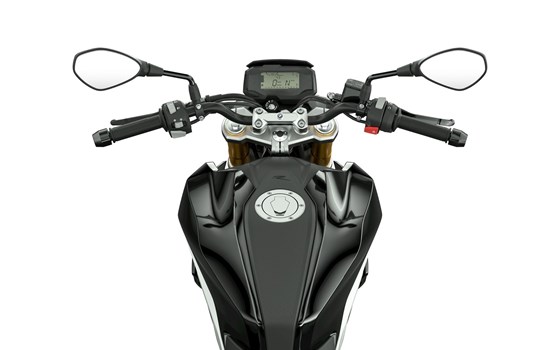 Verleihmotorrad BMW G 310 R vom Händler WMH GmbH Walz - Bild 5