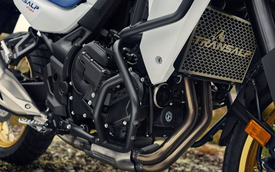 Verleihmotorrad Honda XL750 Transalp E-Clutch vom Händler Tempo-Zweirad-Treff GmbH - Bild 3