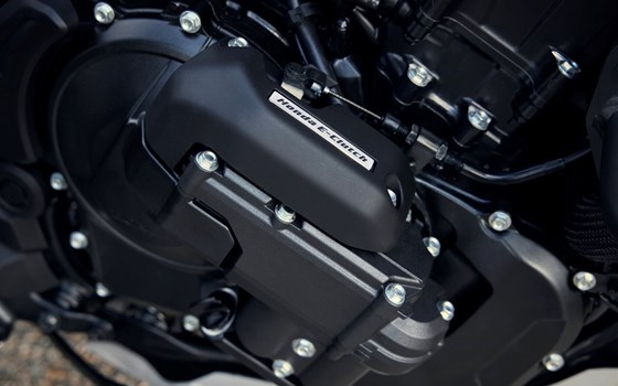 Verleihmotorrad Honda XL750 Transalp E-Clutch vom Händler Tempo-Zweirad-Treff GmbH - Bild 2