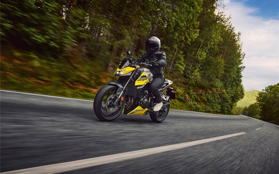 Verleihmotorrad Honda CB750 Hornet vom Händler Auto-Leebmann GmbH - Bild 3