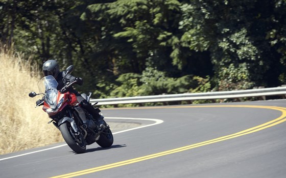 Verleihmotorrad Triumph Tiger Sport 660 vom Händler Q-Bike Technik GmbH - Bild 16