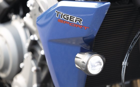 Verleihmotorrad Triumph Tiger Sport 660 vom Händler Q-Bike Technik GmbH - Bild 19