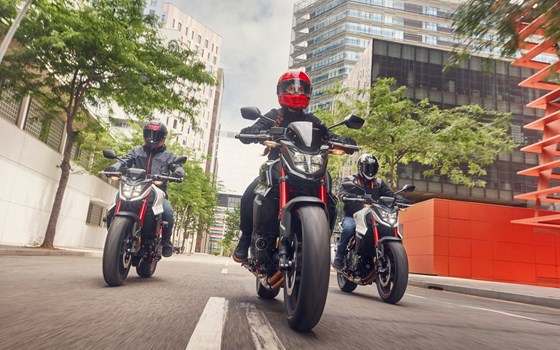 Verleihmotorrad Honda CB750 Hornet vom Händler Tempo-Zweirad-Treff GmbH - Bild 5 Verleihmotorrad Honda CB750 Hornet vom Händler Tempo-Zweirad-Treff GmbH - Bild 5