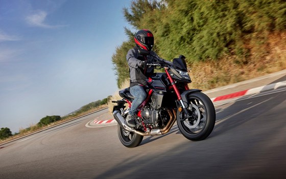 Verleihmotorrad Honda CB750 Hornet vom Händler Tempo-Zweirad-Treff GmbH - Bild 8 Verleihmotorrad Honda CB750 Hornet vom Händler Tempo-Zweirad-Treff GmbH - Bild 8