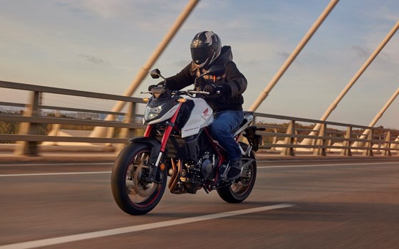Verleihmotorrad Honda CB750 Hornet vom Händler Tempo-Zweirad-Treff GmbH - Bild 10 Verleihmotorrad Honda CB750 Hornet vom Händler Tempo-Zweirad-Treff GmbH - Bild 10