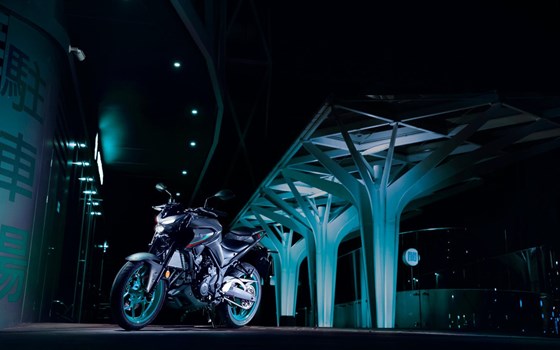 Verleihmotorrad Yamaha MT-03 vom Händler Raudzus Motorrad GmbH - Bild 5