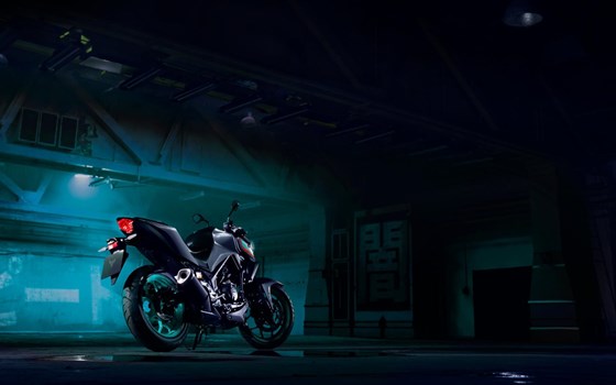 Verleihmotorrad Yamaha MT-03 vom Händler Raudzus Motorrad GmbH - Bild 7