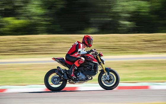 Verleihmotorrad Ducati Monster SP vom Händler März Motorradhandel GmbH - Bild 4 Verleihmotorrad Ducati Monster SP vom Händler März Motorradhandel GmbH - Bild 4