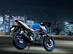 Verleihmotorrad Suzuki GSX-S125 vom Händler BKM Bikes Handels GmbH