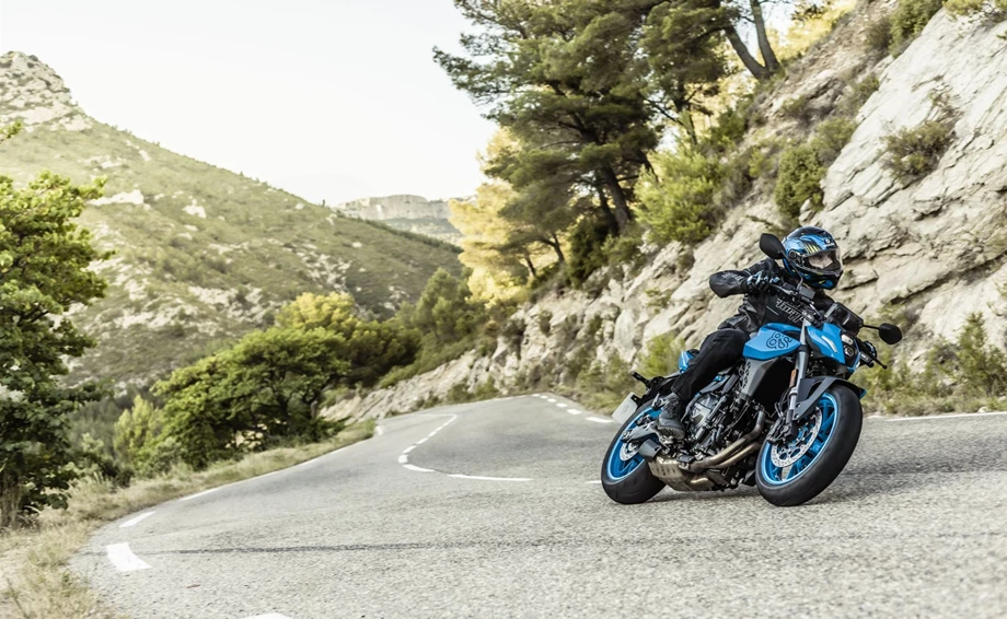 Verleihmotorrad Suzuki GSX-8S vom Händler BKM Bikes Handels GmbH Bild 7: Verleihmotorrad Suzuki GSX-8S vom Händler BKM Bikes Handels GmbH