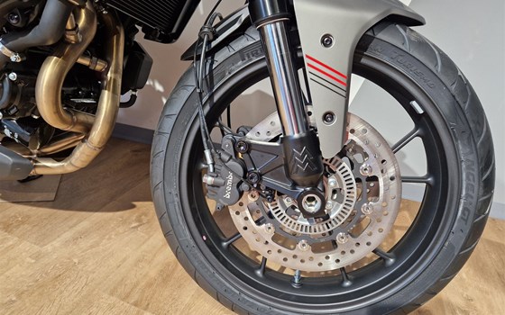 Verleihmotorrad Moto Morini 6 1/2 Seiemmezzo STR vom Händler Motorrad Scheunpflug e.K. - Bild 8 Verleihmotorrad Moto Morini 6 1/2 Seiemmezzo STR vom Händler Motorrad Scheunpflug e.K. - Bild 8