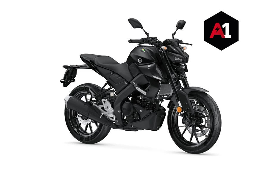 Verleihmotorrad Yamaha MT-125 vom Händler Zweiradzentrum Rhein-Ruhr West GmbH Bild 1: Verleihmotorrad Yamaha MT-125 vom Händler Zweiradzentrum Rhein-Ruhr West GmbH