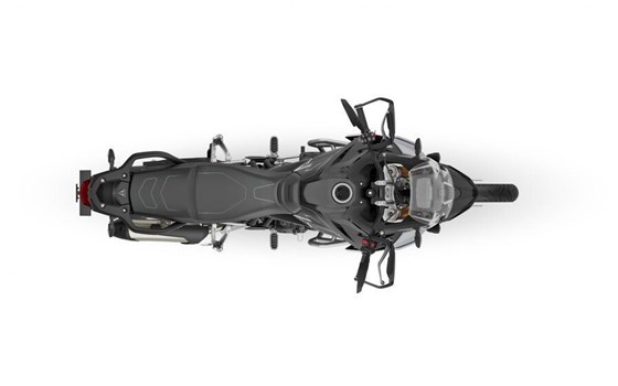 Verleihmotorrad Triumph Tiger 900 Rally Pro vom Händler Zweiradtechnik Wagner GmbH - Bild 7 Verleihmotorrad Triumph Tiger 900 Rally Pro vom Händler Zweiradtechnik Wagner GmbH - Bild 7