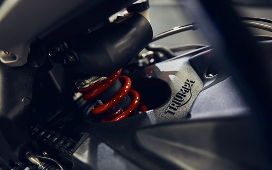 Verleihmotorrad Triumph Street Triple 765 RS vom Händler Motorrad Mayer - Bild 12