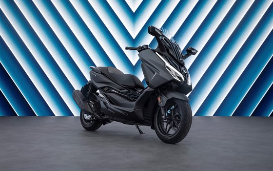 Verleihmotorrad Honda Forza 125 vom Händler Motorrad Bolte - Bild 2