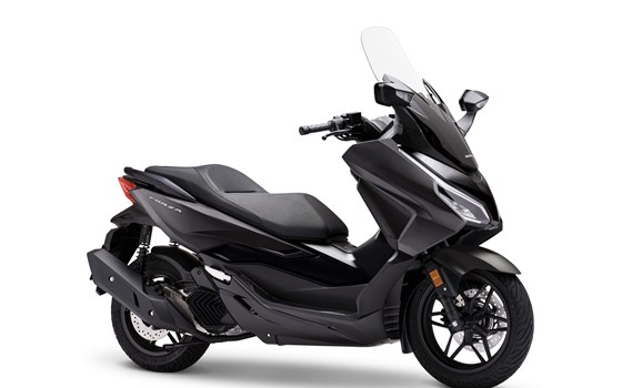 Verleihmotorrad Honda Forza 125 vom Händler Motorrad Bolte - Bild 7