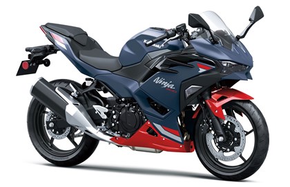 Leihmotorrad Kawasaki Ninja 500 SE