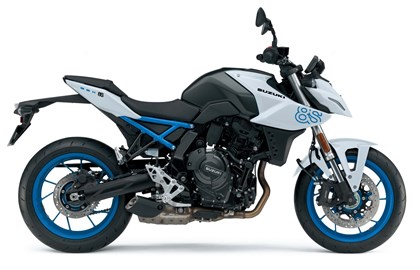 Leihmotorrad Suzuki GSX-8S