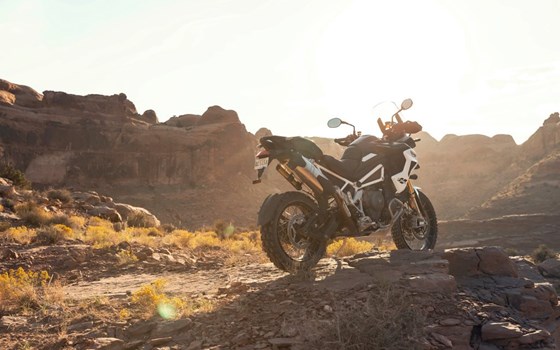 Verleihmotorrad Triumph Tiger 1200 Rally PRO vom Händler Kfz- und Zweirad-Technik Marcel Schmidt - Bild 6 Verleihmotorrad Triumph Tiger 1200 Rally PRO vom Händler Kfz- und Zweirad-Technik Marcel Schmidt - Bild 6