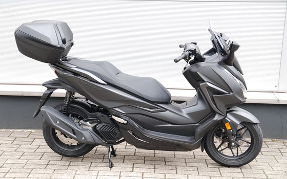 Verleihmotorrad Honda Forza 125 vom Händler Motorrad Kröber - Bild 1 Verleihmotorrad Honda Forza 125 vom Händler Motorrad Kröber - Bild 1