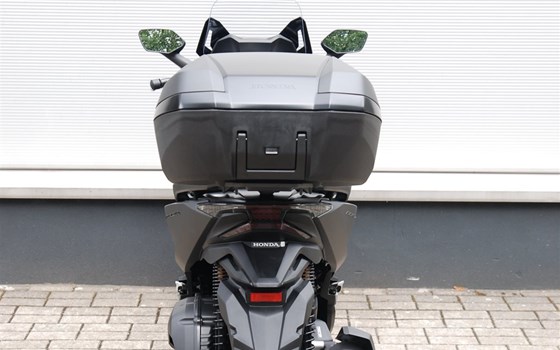 Verleihmotorrad Honda Forza 125 vom Händler Motorrad Kröber - Bild 6 Verleihmotorrad Honda Forza 125 vom Händler Motorrad Kröber - Bild 6