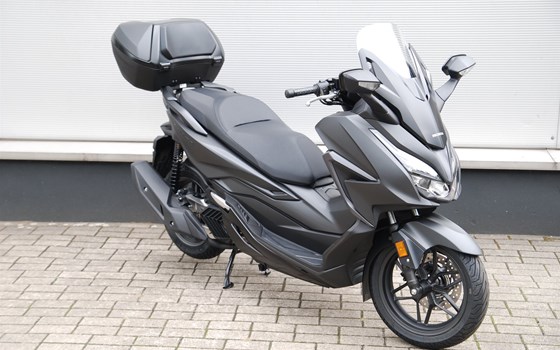 Verleihmotorrad Honda Forza 125 vom Händler Motorrad Kröber - Bild 2 Verleihmotorrad Honda Forza 125 vom Händler Motorrad Kröber - Bild 2