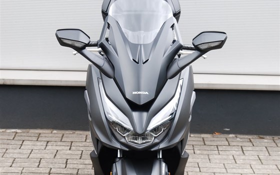 Verleihmotorrad Honda Forza 125 vom Händler Motorrad Kröber - Bild 5 Verleihmotorrad Honda Forza 125 vom Händler Motorrad Kröber - Bild 5