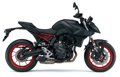 Leihmotorrad Suzuki GSX-8S