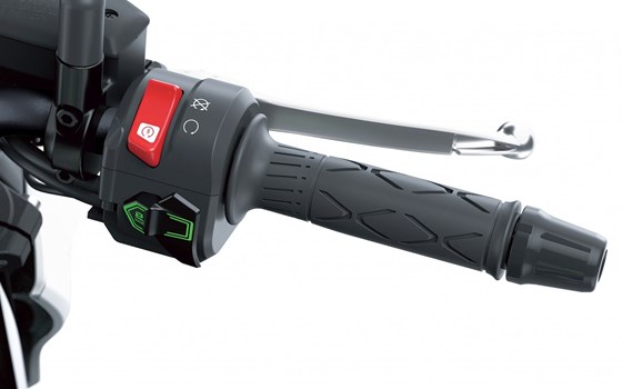 Verleihmotorrad Kawasaki Z7 Hybrid vom Händler OK moto - Bild 9