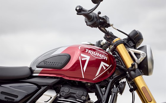 Verleihmotorrad Triumph Speed 400 vom Händler Klingenberger Kehl GbR - Bild 1 Verleihmotorrad Triumph Speed 400 vom Händler Klingenberger Kehl GbR - Bild 1