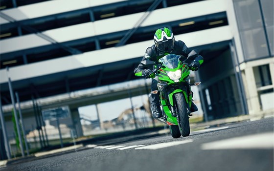 Verleihmotorrad Kawasaki Ninja 125 vom Händler O wie M Motorräder | Nachf. Sven-Olaf Timm e.K. - Bild 3