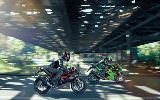 Verleihmotorrad Kawasaki Ninja 125 vom Händler O wie M Motorräder | Nachf. Sven-Olaf Timm e.K. - Bild 4