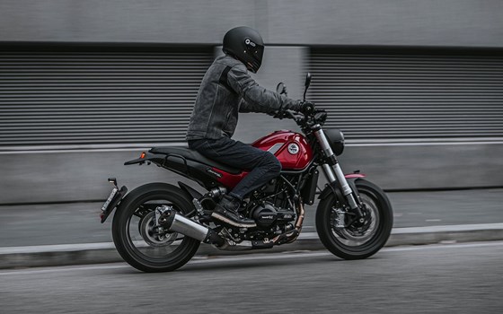 Verleihmotorrad Benelli Leoncino 500 vom Händler Zweirad Baye - Bild 2 Verleihmotorrad Benelli Leoncino 500 vom Händler Zweirad Baye - Bild 2