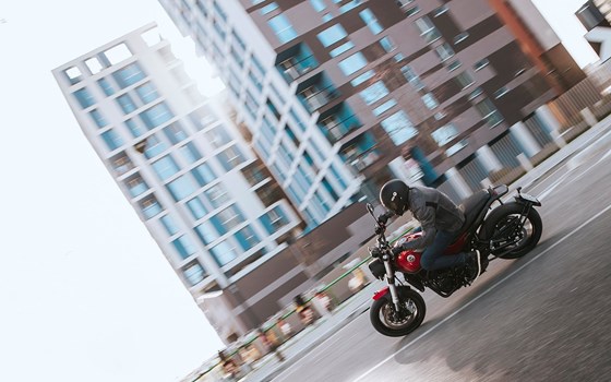 Verleihmotorrad Benelli Leoncino 500 vom Händler Zweirad Baye - Bild 5 Verleihmotorrad Benelli Leoncino 500 vom Händler Zweirad Baye - Bild 5