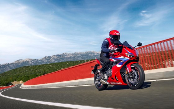 Verleihmotorrad Honda CBR650R E-Clutch vom Händler Bruhy Kraftfahrzeug GmbH - Bild 8