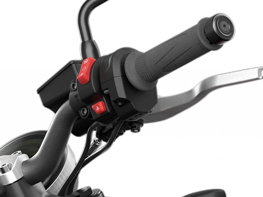 Verleihmotorrad Triumph Trident 660 vom Händler TRIUMPH Chemnitz Böttger und Budach OHG Bild 22: Verleihmotorrad Triumph Trident 660 vom Händler TRIUMPH Chemnitz Böttger und Budach OHG