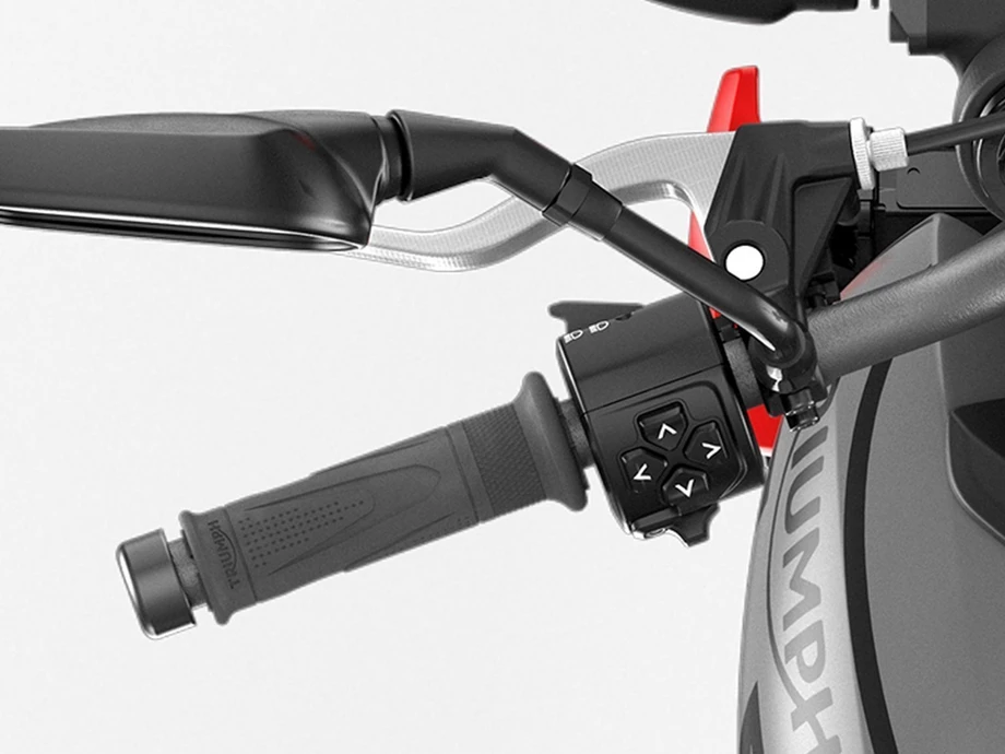 Verleihmotorrad Triumph Trident 660 vom Händler TRIUMPH Chemnitz Böttger und Budach OHG Bild 10: Verleihmotorrad Triumph Trident 660 vom Händler TRIUMPH Chemnitz Böttger und Budach OHG