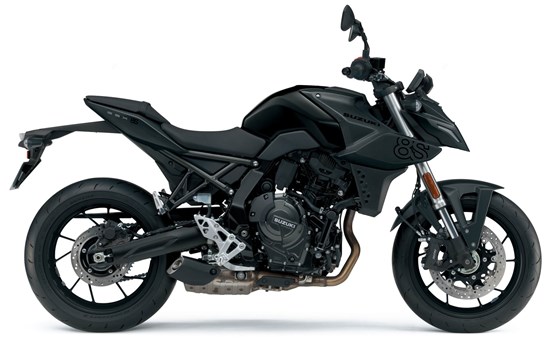 Verleihmotorrad Suzuki GSX-8S vom Händler Motorrad Rubin GmbH & Co.KG - Bild 1