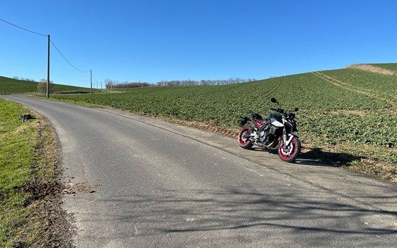 Verleihmotorrad Suzuki GSX-8S vom Händler Motorrad Naujocks - Bild 5 Verleihmotorrad Suzuki GSX-8S vom Händler Motorrad Naujocks - Bild 5