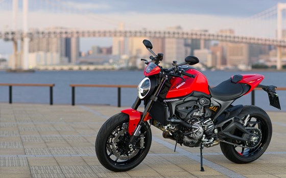 Verleihmotorrad Ducati Monster vom Händler O wie M Motorräder | Nachf. Sven-Olaf Timm e.K. - Bild 2