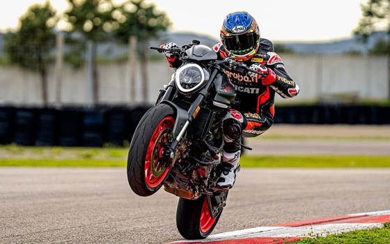 Verleihmotorrad Ducati Monster vom Händler O wie M Motorräder | Nachf. Sven-Olaf Timm e.K. - Bild 5