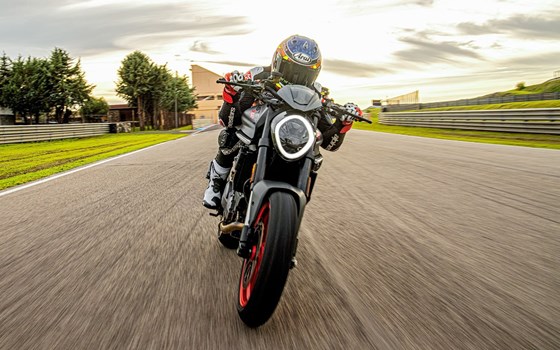 Verleihmotorrad Ducati Monster vom Händler O wie M Motorräder | Nachf. Sven-Olaf Timm e.K. - Bild 6