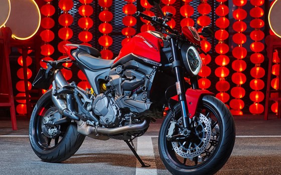 Verleihmotorrad Ducati Monster vom Händler O wie M Motorräder | Nachf. Sven-Olaf Timm e.K. - Bild 8