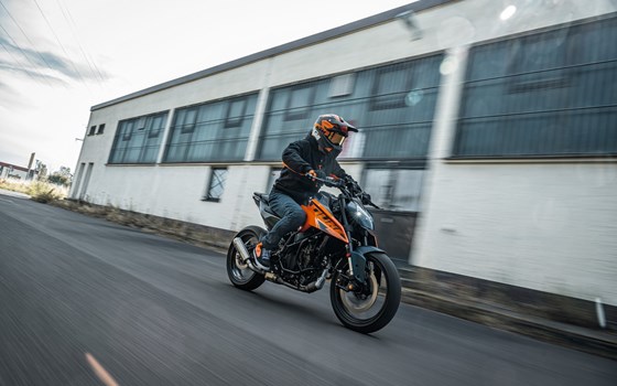 Verleihmotorrad KTM 125 Duke vom Händler Road Star Motorcycles GmbH - Bild 23