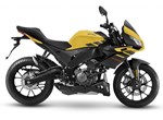 Verleihmotorrad Aprilia Tuono 125 vom Händler Motorrad Hofmann Monsheim