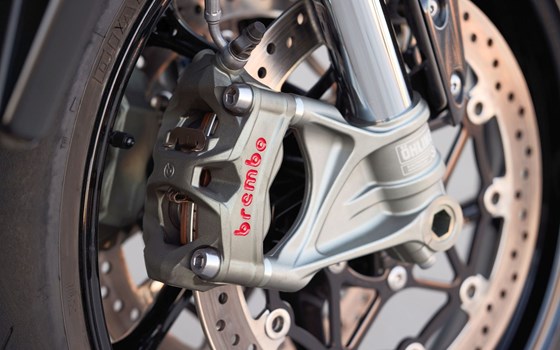 Verleihmotorrad Triumph Speed Triple 1200 RS vom Händler hmf Motorräder GmbH - Bild 8
